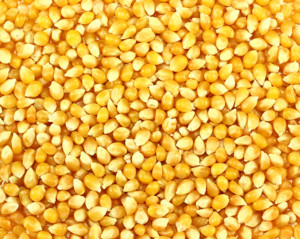 Gluten-free-corn