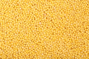 Millet-is-a-gluten-free-grain-gaining-popularity.