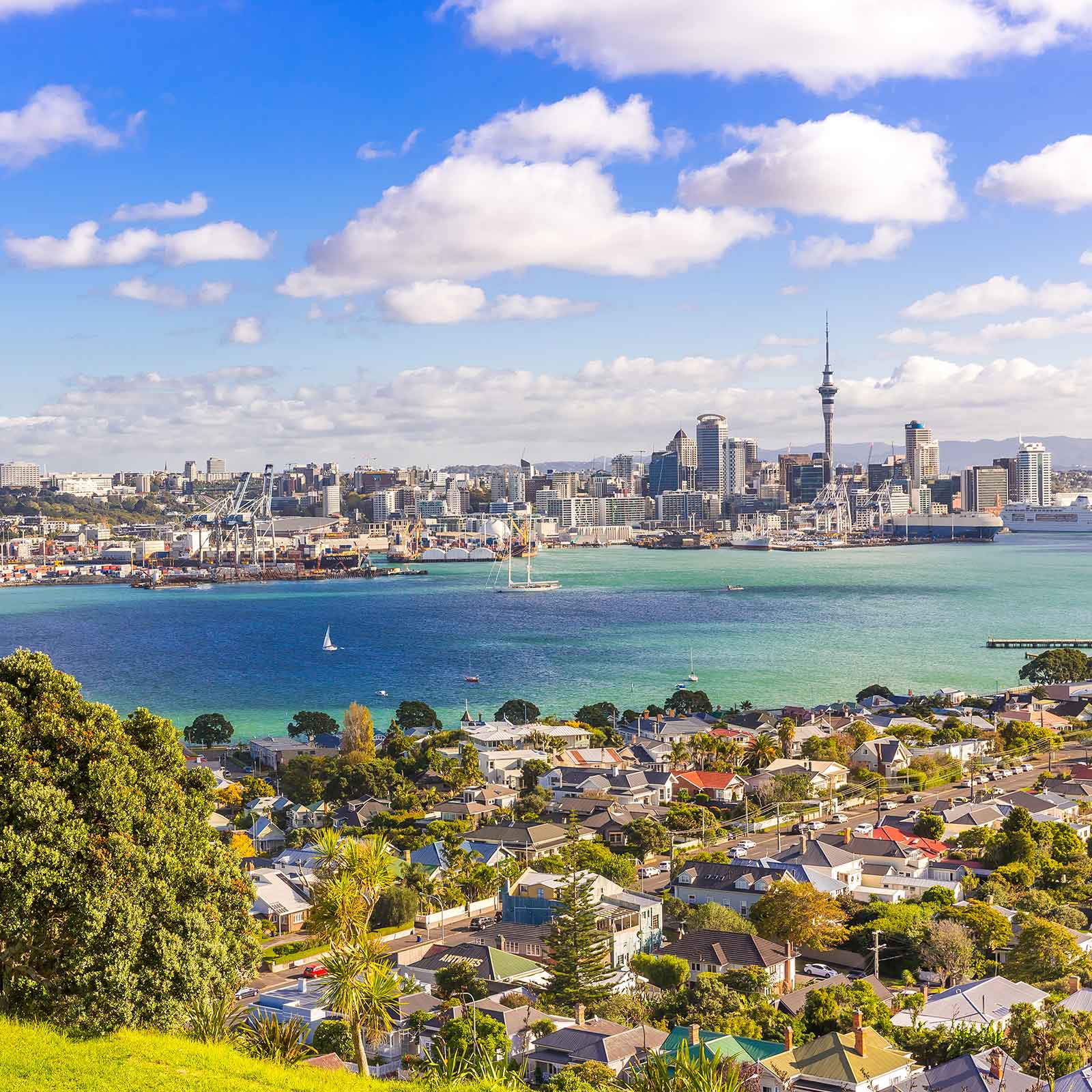 Auckland on a bright and sunny day.