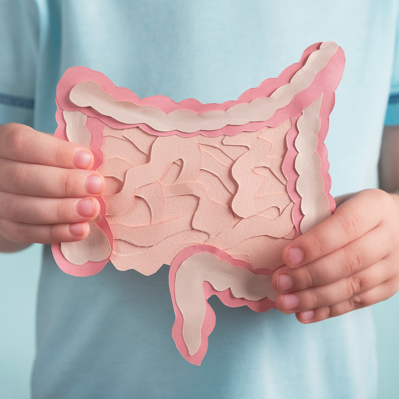 Young boy in blue t-shirt holding a paper intestine. Only his torso is pictured.